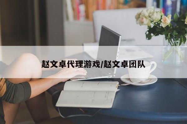 赵文卓代理游戏/赵文卓团队
