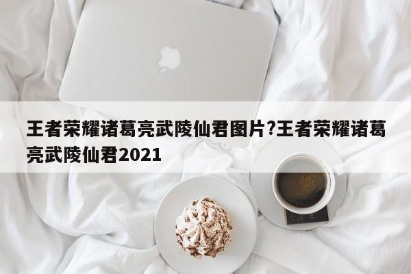 王者荣耀诸葛亮武陵仙君图片?王者荣耀诸葛亮武陵仙君2021