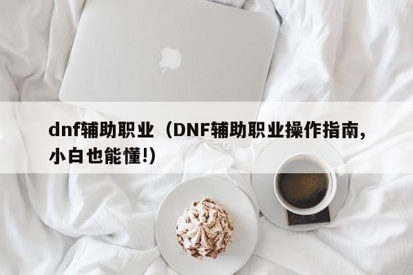 dnf辅助职业（DNF辅助职业操作指南,小白也能懂!）