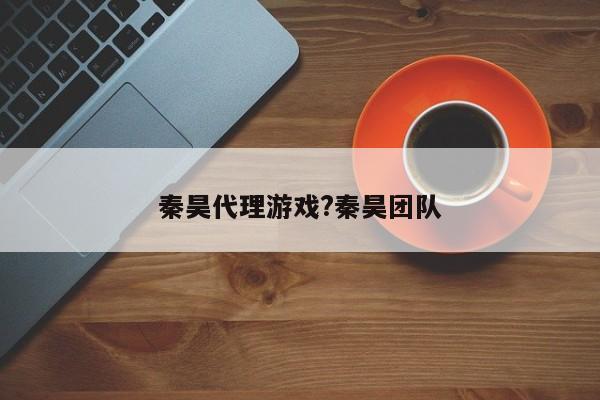 秦昊代理游戏?秦昊团队