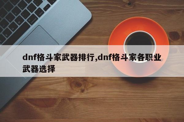 dnf格斗家武器排行,dnf格斗家各职业武器选择